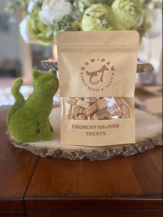 Crunchy Salmon Treats for Cats & Dogs - Raw Paw